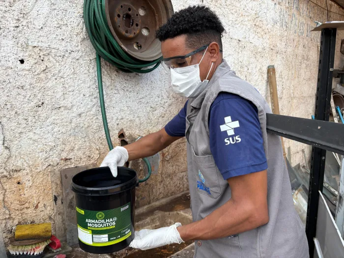 Estratégia adotada pela Semus faz com que mosquito contaminado espalhe larvicida por criadouros - Crédito da foto: Gabriela Letrari