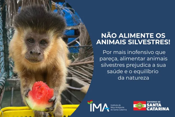 IMA reforça que a visitação responsável à fauna silvestre é um compromisso de todos com a conservação