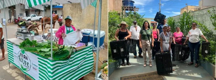 Doações do Idene ajudam agricultores familiares a venderem produtos nas feiras municipais