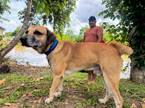 Foto: Reprodução/Prefeitura de Porto Velho - RO