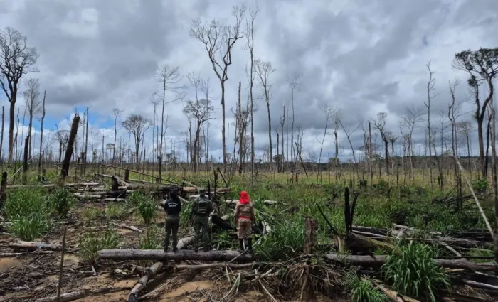 Foto: Reprodução/Agência Amazonas
