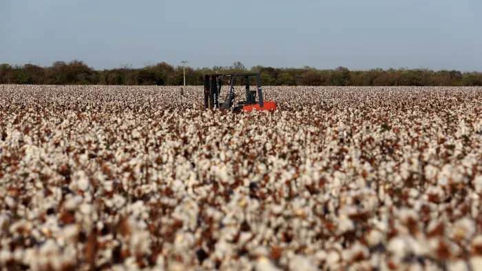 Foto ilustrativa: Feijão Almeida/GOVBA