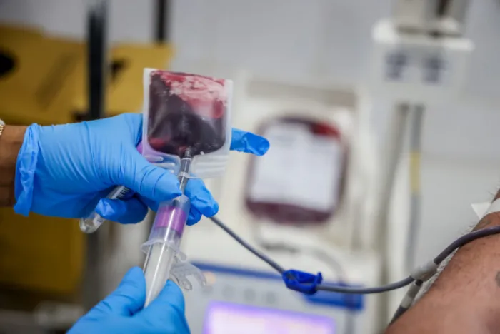 Os profissionais selecionados irão atuar nos municípios de Porto Velho, Ariquemes, Ji-Paraná, Cacoal, Rolim de Moura, Vilhena e Guajará-Mirim