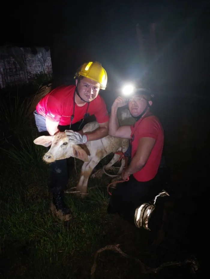 Foto: Reprodução/Agência Amazonas