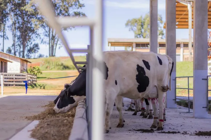 Foto: Reprodução/UEPG