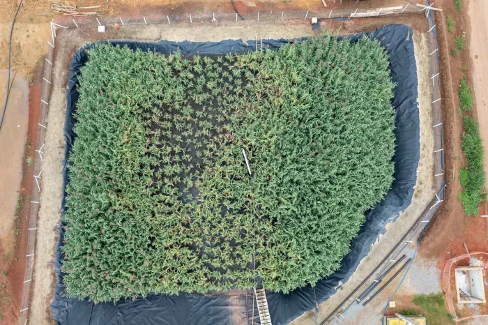 Foto: André Thiago/Sanepar