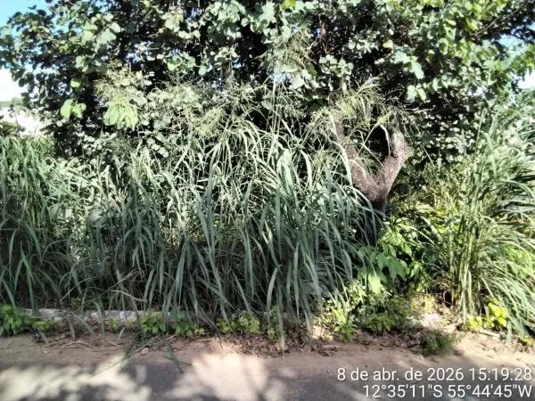 Foto: Reprodução/Prefeitura de Sorriso - MT