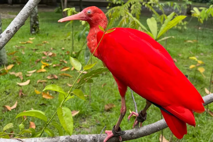 Foto: Beatriz Tavares