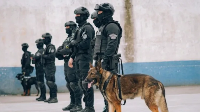 Instituição conta com 26 cães operacionais e 13 policiais penais especializados em cinotecnia -Foto: Rafa Marin/Ascom Polícia Penal