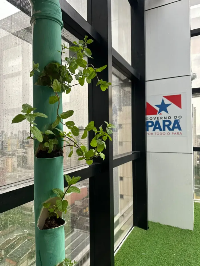 Foto: Suellen Santos / Ascom Sespa 