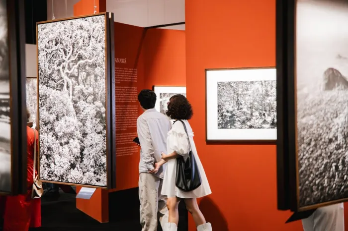 Exposição Amazônia no Cais das Artes abre visitas guiadas para grupos