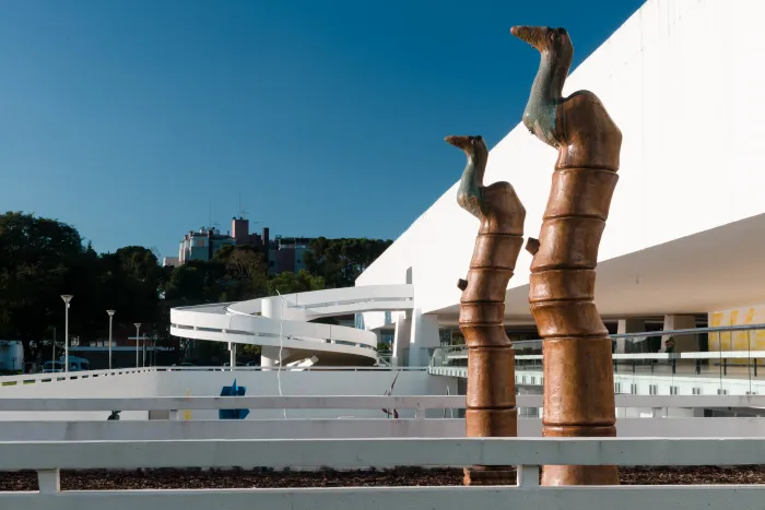 Foto: Marcello Kawase