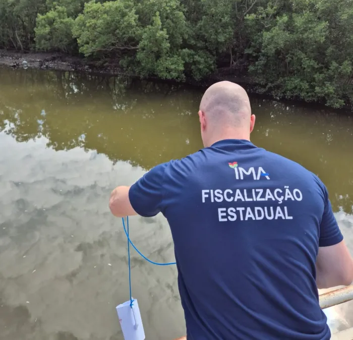 Nota Técnica: Mortandade de Manjubinhas no Manguezal do Itacorubi