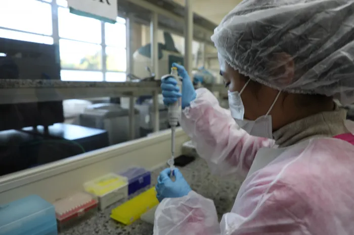 Udesc Lages seleciona bolsista para análise genética aplicada à determinação de paternidade