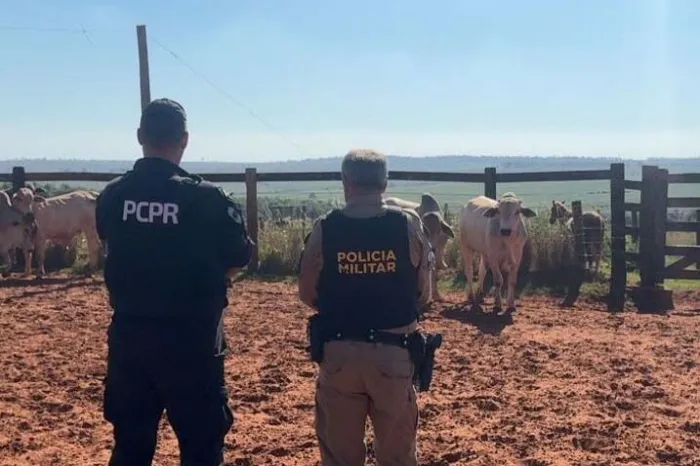 Foto: Reprodução/Secom Paraná