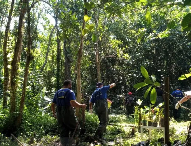 Prefeitura apreende materiais usados em cercamento irregular na APA Baleia Sahy, na Costa Sul