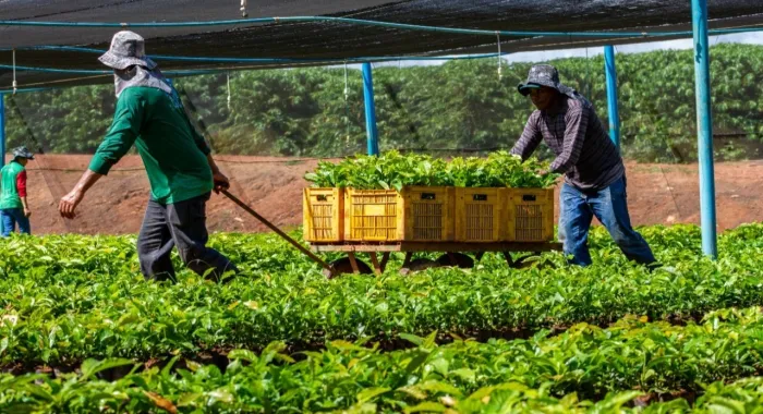  Com novos equipamentos, os produtores de São Francisco terão mais agilidade e eficiência na produção agrícola (Foto: Seagri)