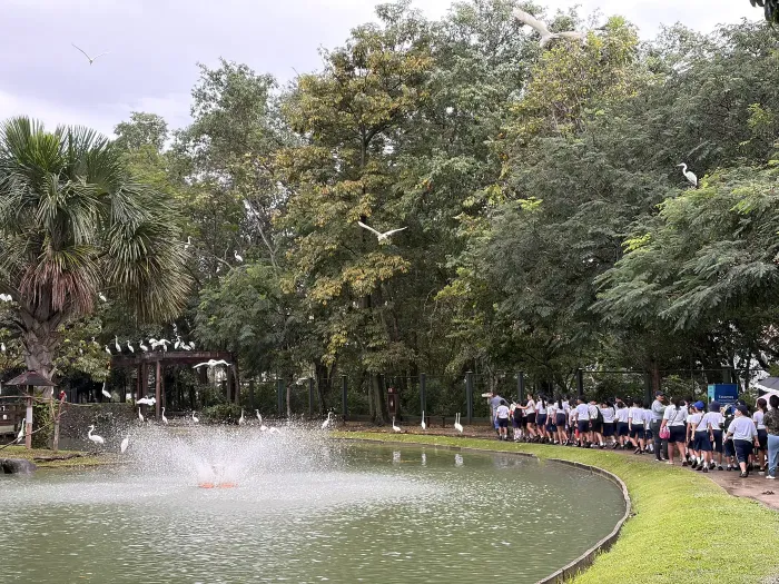 Foto: Fernanda AJ Barros