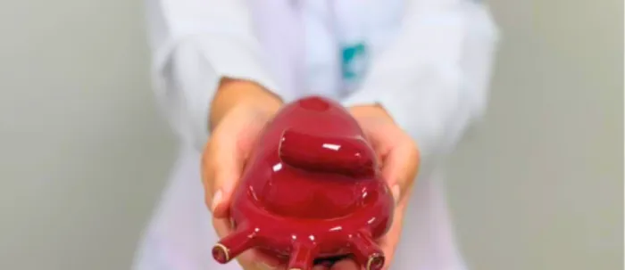 Foto: Reprodução/Secom Ceará