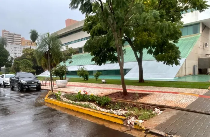 Jardim de chuva marca novo modelo de drenagem sustentável