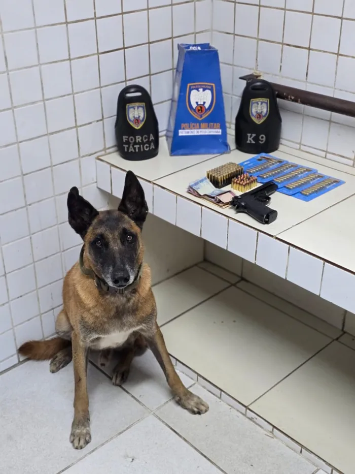 Foto: Reprodução/Polícia Militar - ES