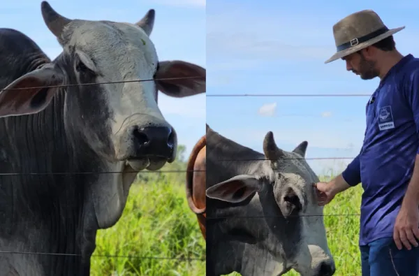 Foto: Reprodução/Prefeitura de Sorriso - MT