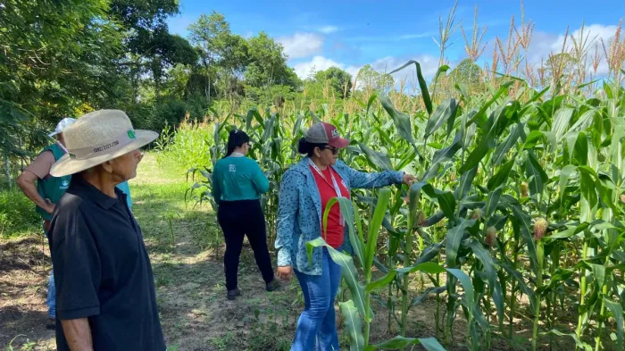 Foto: Eldiney Alcântara