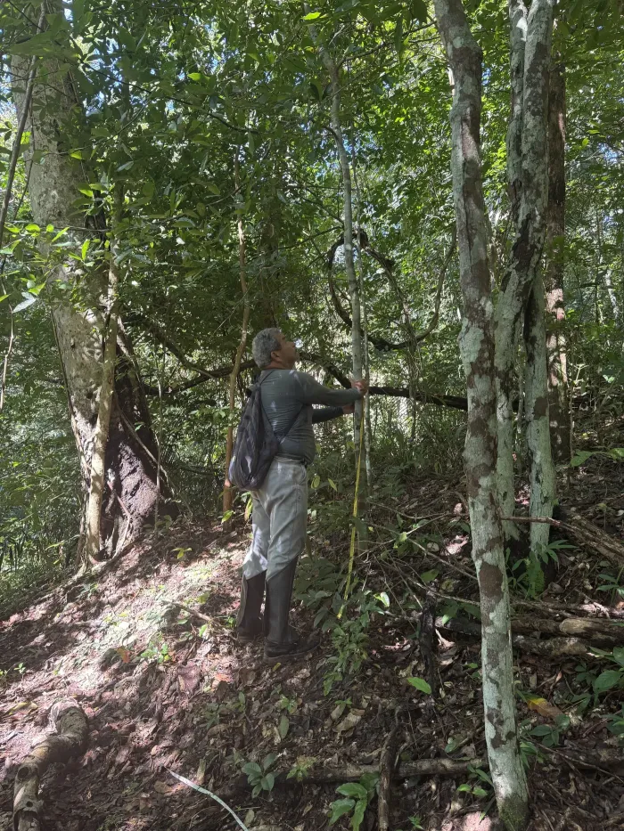 Foto: Larissa Soares - Ideflor-Bio