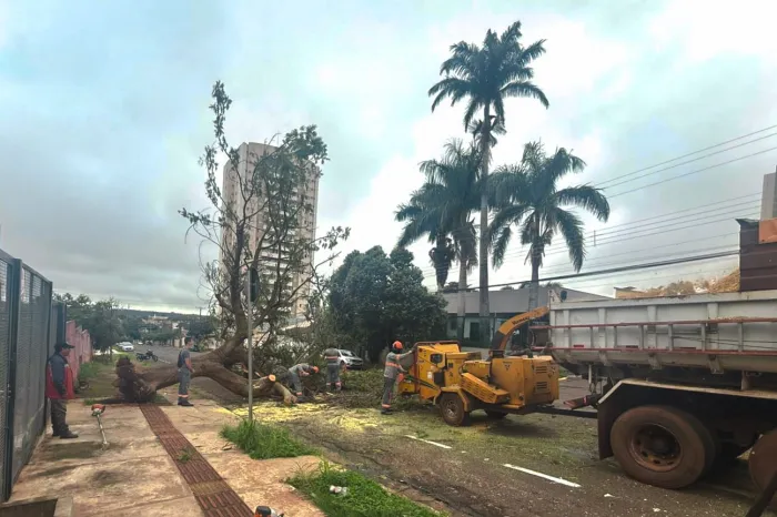 Foto: Reprodução/Prefeitura de Campo Grande - MS