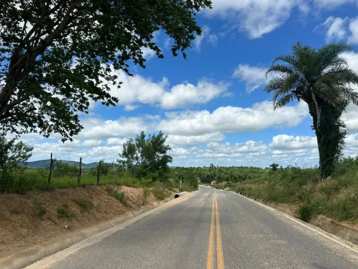 Pavimentação em Antônio Gonçalves melhora mobilidade e fortalece produção rural