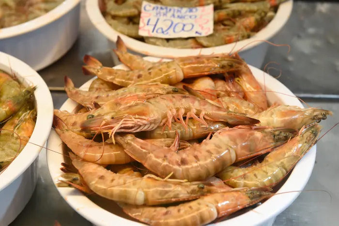 Foto: Denis Ferreira Netto/SEDEST