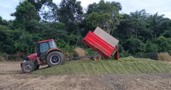 Foto: Reprodução/Prefeitura de Sorriso - MT