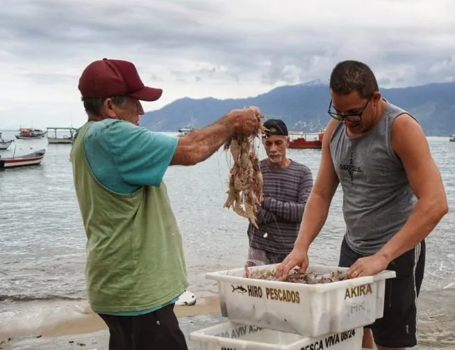 Pescadores de São Sebastião iniciam temporada de pesca do camarão a partir de sexta-feira