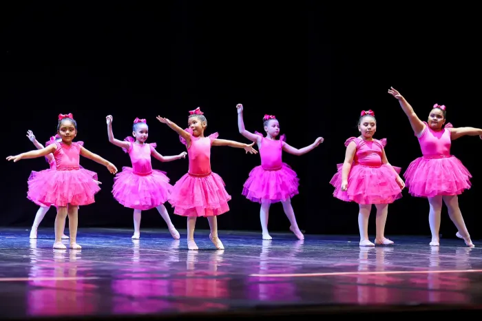 Foto: Bruno Cecim / Ag. Pará