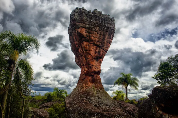 Foto: Denis Ferreira Netto/SEDEST