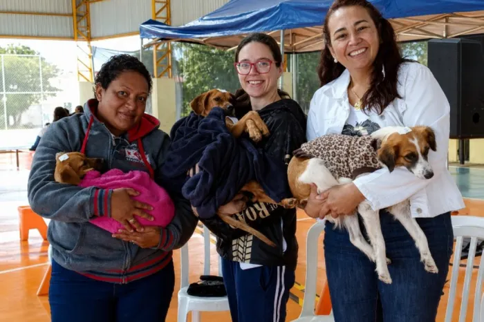 ALEMS aprova reconhecimento de associação de proteção animal de Jardim