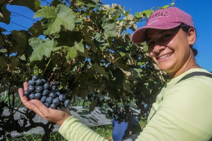 Governo de SP institui Câmara Temática das Mulheres no Agronegócio durante a Agrishow
