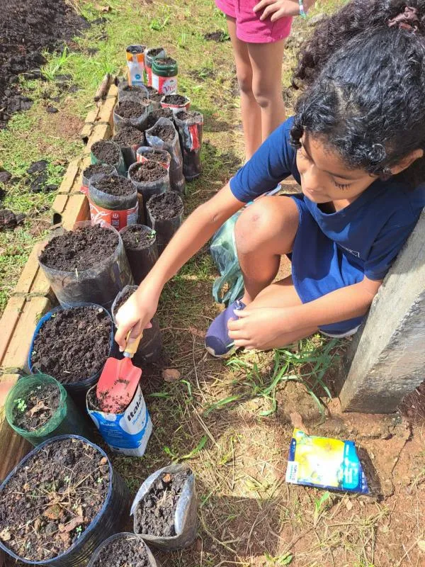 Foto: Reprodução/Prefeitura de Sorriso - MT