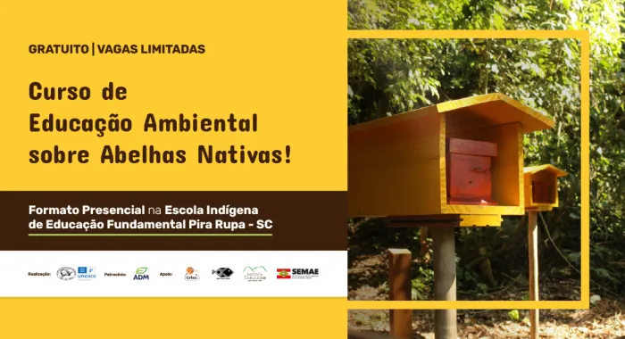 Semae abre inscrições para curso sobre abelhas nativas na Aldeia Tekoa Pira Rupá em Palhoça