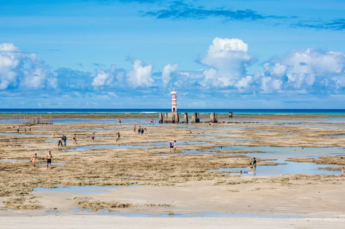 Praia da Ponta Verde, em Maceió, ocupa a 12ª posição no ranking - Ascom Setur