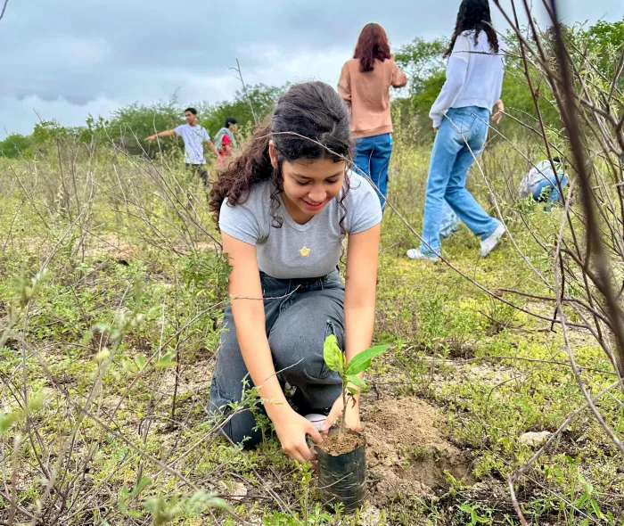 Estudantes da Escola Municipal de Educação Básica Rui Palmeira participam de ação do IMA - Ascom IMA/AL