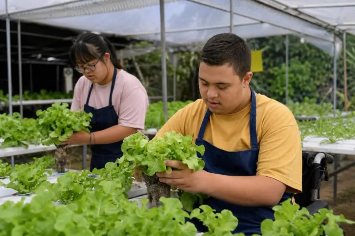 Agro Inclusivo MS: proposta garante autonomia para pessoas com deficiência