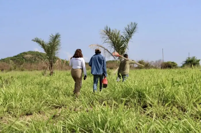 Foto: Daniel Lima/ Ascom Semas