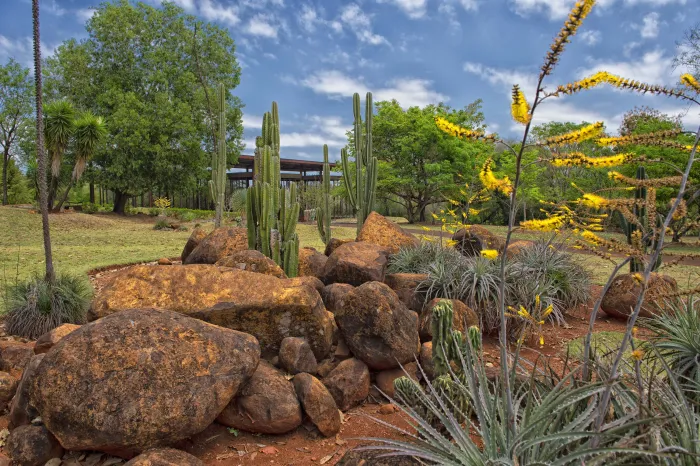 Foto: Denis Ferreira Netto/SEDEST