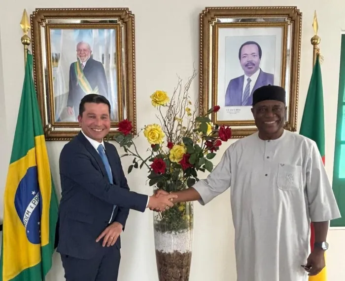 Embaixada da República dos Camarões