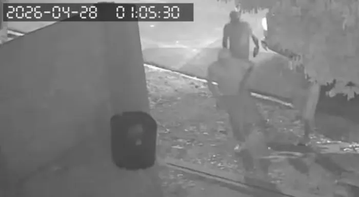 Integração das forças de segurança resulta na prisão preventiva de 7 integrantes de organização criminosa em Pedro Gomes