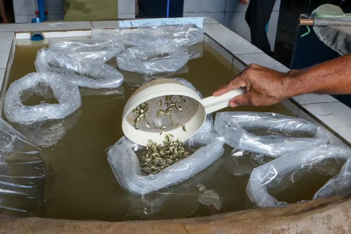 Foto: Reprodução/Secom Piauí