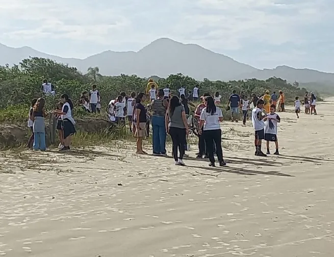 Ação conjunta promove limpeza e conscientização ambiental na praia de Boraceia em São Sebastião