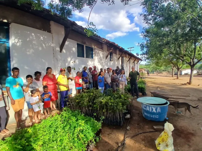 Estado realiza ação piloto de gestão de assentamentos e entrega 5.000 mudas frutíferas no Filhos da Terra, em Itaberaba