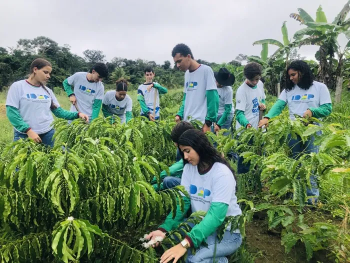 Formação técnica fortalece agricultura familiar e prepara jovens para atuar nas propriedades rurais em Rondônia